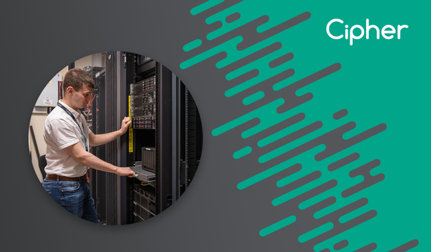 Technical Manager working on a Server